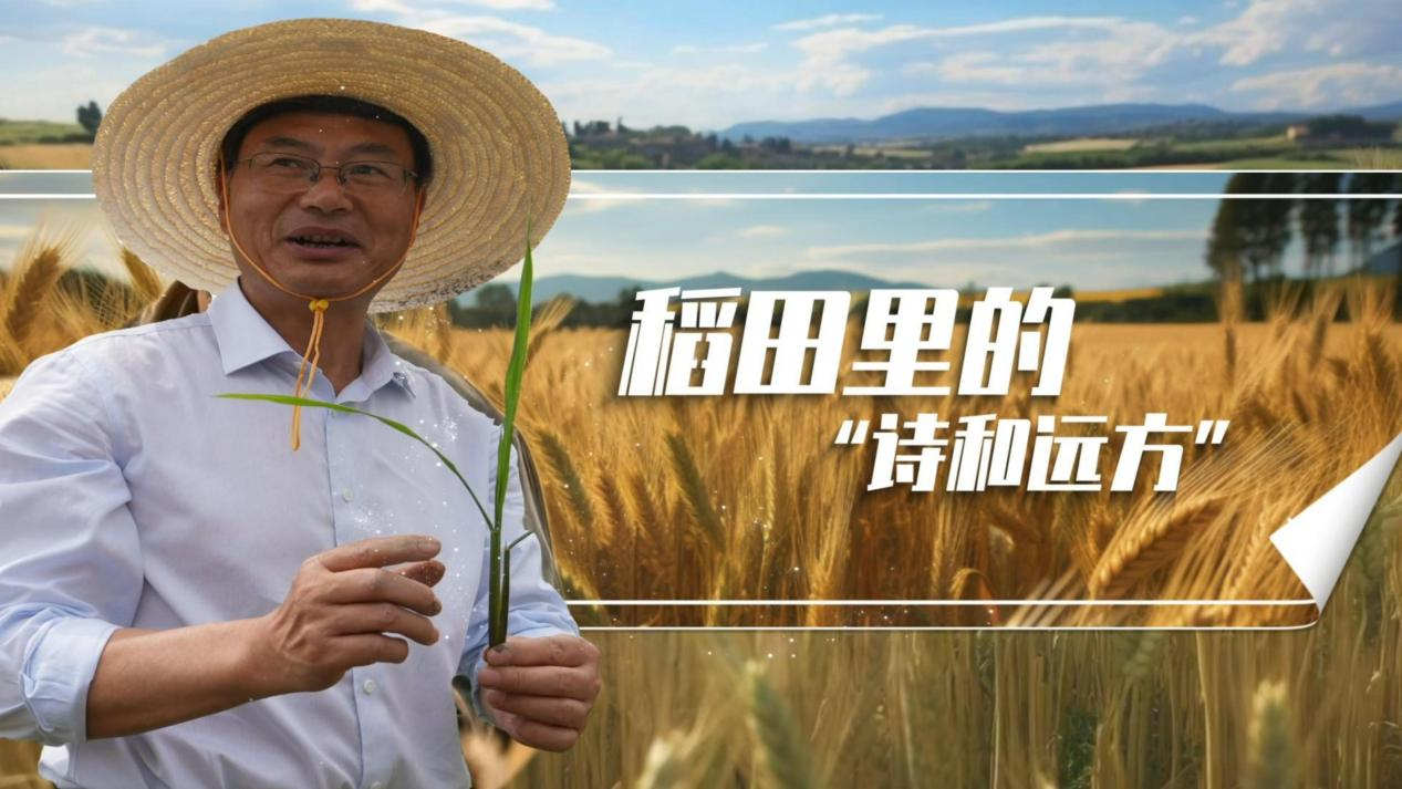 5&middot;30 |全国科技工作者日：稻田里的&ldquo;诗和远方&rdquo;--信阳市优秀科技工作者事迹展播（一）